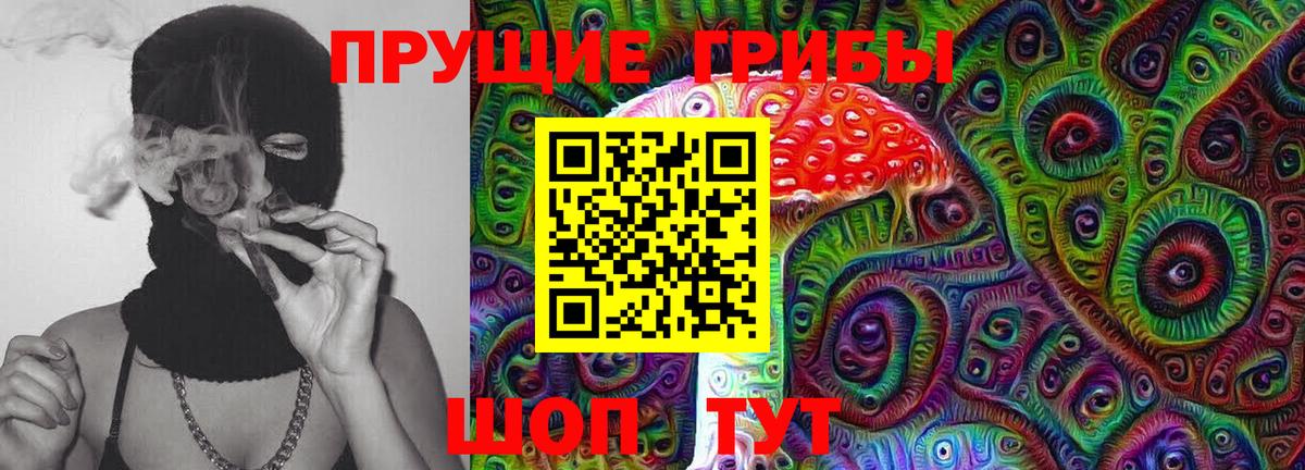 Луга  Галлюциногенные грибы Magic Shrooms  Вход с VPN 