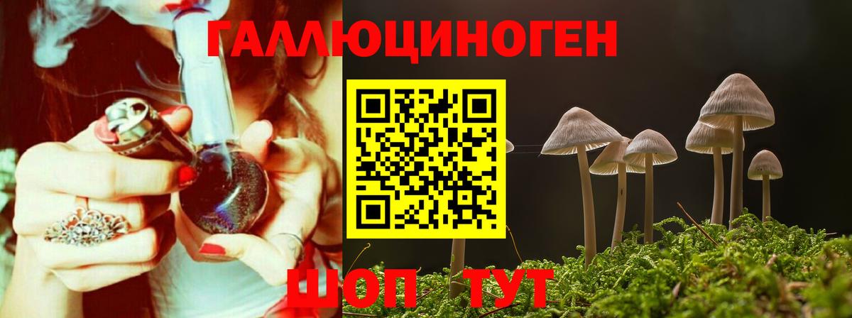 Галлюциногенные грибы Psilocybe Луга